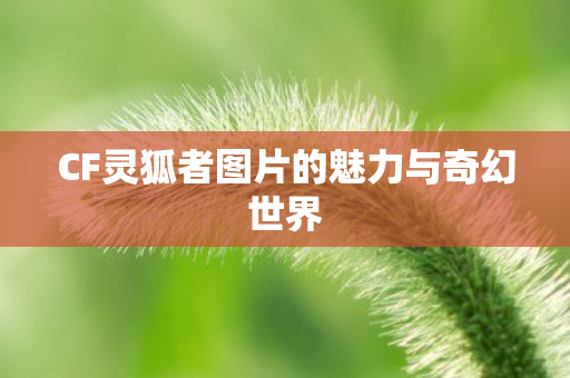 CF灵狐者图片的魅力与奇幻世界 CF灵狐者图片的魅力与奇幻世界