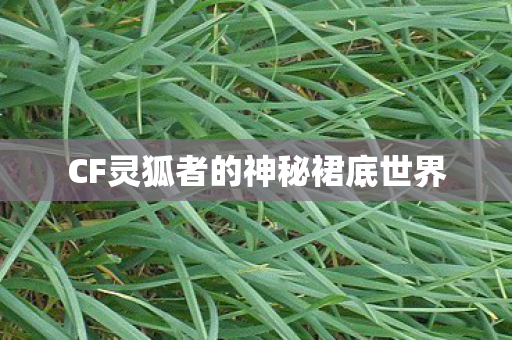CF灵狐者的神秘裙底世界