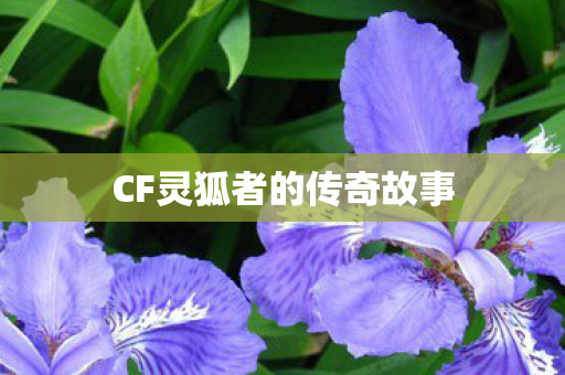 CF灵狐者的传奇故事