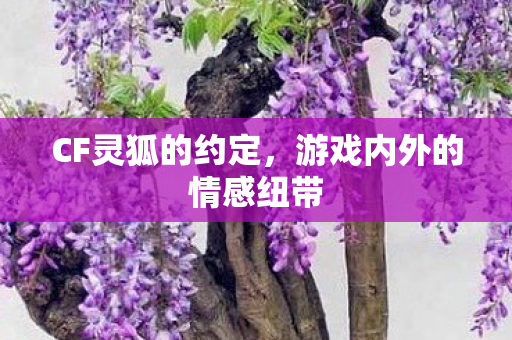 CF灵狐的约定,游戏内外的情感纽带 CF灵狐的约定,游戏内外的情感纽带