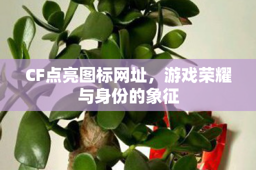 CF点亮图标网址，游戏荣耀与身份的象征