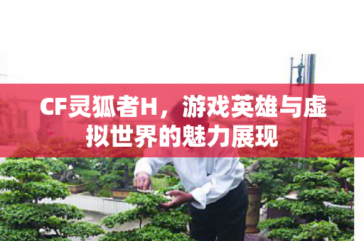 CF灵狐者H,游戏英雄与虚拟世界的魅力展现 CF灵狐者H,游戏英雄与虚拟世界的魅力展现