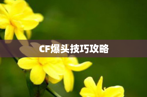 CF爆头技巧攻略