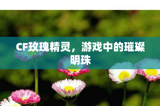 CF玫瑰精灵,游戏中的璀璨明珠 CF玫瑰精灵,游戏中的璀璨明珠