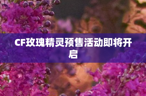 CF玫瑰精灵预售活动即将开启 CF玫瑰精灵预售活动即将开启