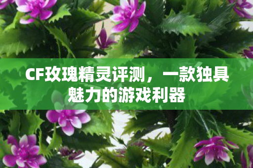CF玫瑰精灵评测，一款独具魅力的游戏利器