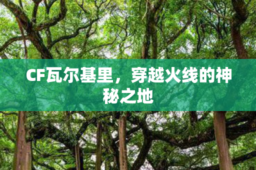 CF瓦尔基里,穿越火线的神秘之地 CF瓦尔基里,穿越火线的神秘之地