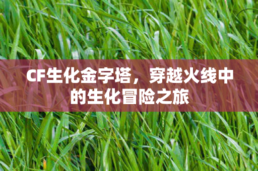 CF生化金字塔,穿越火线中的生化冒险之旅 CF生化金字塔,穿越火线中的生化冒险之旅