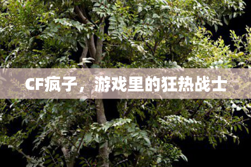 CF疯子，游戏里的狂热战士