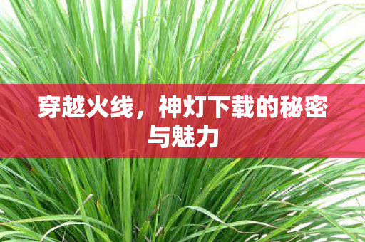 穿越火线,神灯下载的秘密与魅力 穿越火线,神灯下载的秘密与魅力