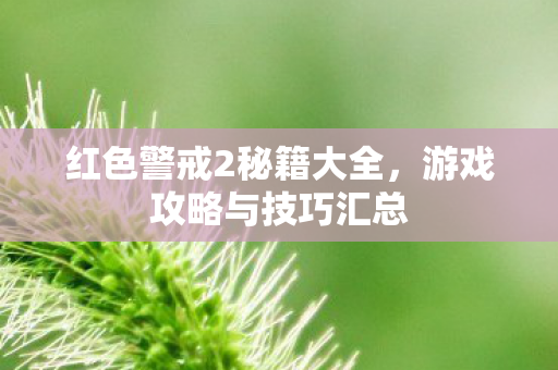 红色警戒2秘籍大全，游戏攻略与技巧汇总