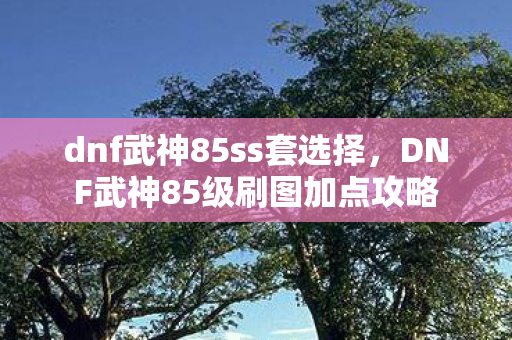 dnf武神85ss套选择,DNF武神85级刷图加点攻略 dnf武神85ss套选择,DNF武神85级刷图加点攻略