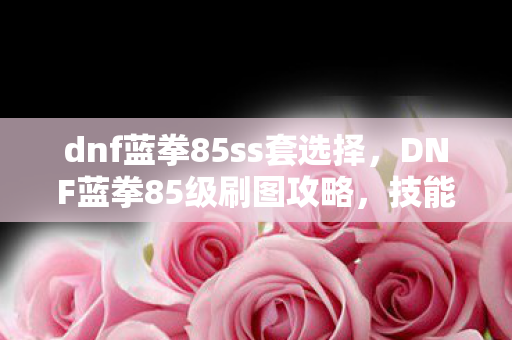 dnf蓝拳85ss套选择,DNF蓝拳85级刷图攻略,技能加点详解 dnf蓝拳85ss套选择,DNF蓝拳85级刷图攻略,技能加点详解
