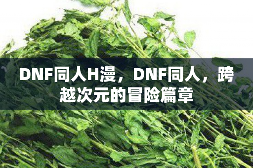 DNF同人H漫,DNF同人,跨越次元的冒险篇章 DNF同人H漫,DNF同人,跨越次元的冒险篇章