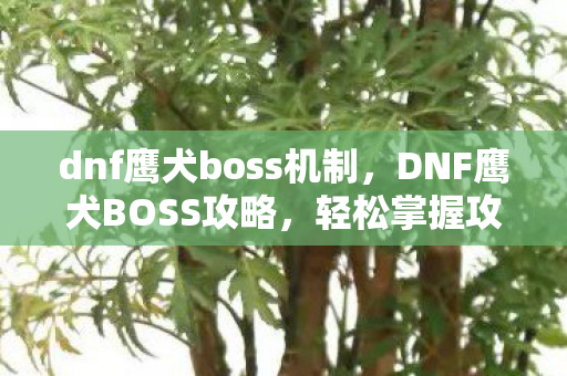 dnf鹰犬boss机制，DNF鹰犬BOSS攻略，轻松掌握攻略技巧，轻松通关！