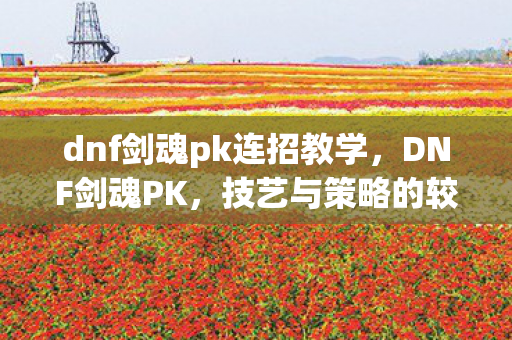 dnf剑魂pk连招教学，DNF剑魂PK，技艺与策略的较量