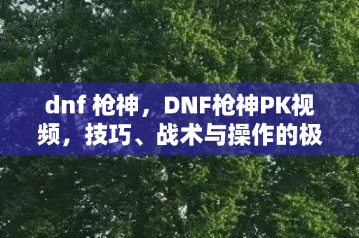 dnf 枪神,DNF枪神PK视频,技巧、战术与操作的极致展现 dnf 枪神,DNF枪神PK视频,技巧、战术与操作的极致展现