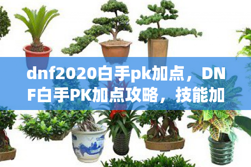 dnf2020白手pk加点,DNF白手PK加点攻略,技能加点推荐与实战运用 dnf2020白手pk加点,DNF白手PK加点攻略,技能加点推荐与实战运用