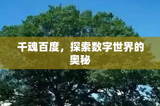 千魂百度，探索数字世界的奥秘