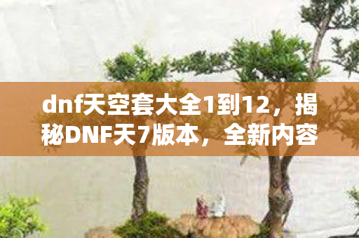 dnf天空套大全1到12，揭秘DNF天7版本，全新内容、特色系统与玩家心得分享