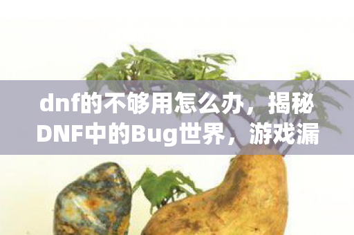 dnf的不够用怎么办,揭秘DNF中的Bug世界,游戏漏洞的探寻之旅 dnf的不够用怎么办,揭秘DNF中的Bug世界,游戏漏洞的探寻之旅