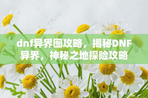 dnf异界图攻略，揭秘DNF异界，神秘之地探险攻略