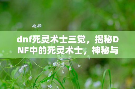 dnf死灵术士三觉,揭秘DNF中的死灵术士,神秘与强大的结合体 dnf死灵术士三觉,揭秘DNF中的死灵术士,神秘与强大的结合体