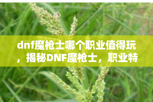 dnf魔枪士哪个职业值得玩,揭秘DNF魔枪士,职业特色与攻略秘籍 dnf魔枪士哪个职业值得玩,揭秘DNF魔枪士,职业特色与攻略秘籍