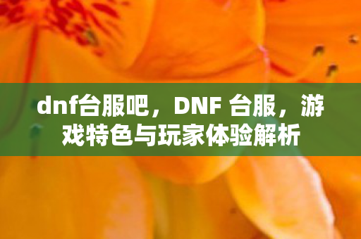 dnf台服吧，DNF 台服，游戏特色与玩家体验解析
