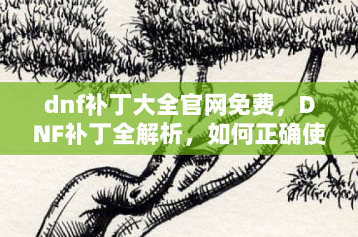 dnf补丁大全官网免费，DNF补丁全解析，如何正确使用补丁让你的游戏体验更佳？