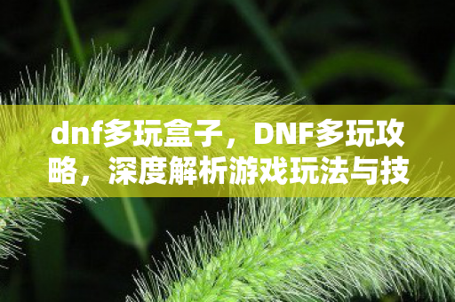 dnf多玩盒子,DNF多玩攻略,深度解析游戏玩法与技巧 dnf多玩盒子,DNF多玩攻略,深度解析游戏玩法与技巧