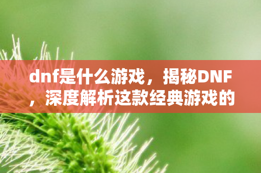 dnf是什么游戏,揭秘DNF,深度解析这款经典游戏的魅力之源 dnf是什么游戏,揭秘DNF,深度解析这款经典游戏的魅力之源