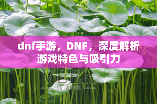 dnf手游,DNF,深度解析游戏特色与吸引力 dnf手游,DNF,深度解析游戏特色与吸引力