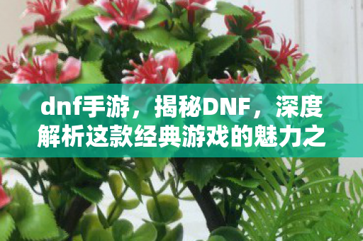 dnf手游,揭秘DNF,深度解析这款经典游戏的魅力之源 dnf手游,揭秘DNF,深度解析这款经典游戏的魅力之源