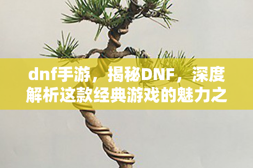 dnf手游,揭秘DNF,深度解析这款经典游戏的魅力之源 dnf手游,揭秘DNF,深度解析这款经典游戏的魅力之源