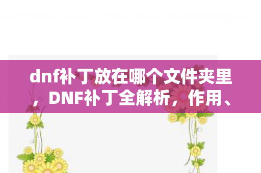 dnf补丁放在哪个文件夹里,DNF补丁全解析,作用、使用方法和注意事项 dnf补丁放在哪个文件夹里,DNF补丁全解析,作用、使用方法和注意事项