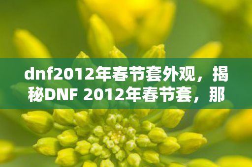 dnf2012年春节套外观,揭秘DNF 2012年春节套,那些令人心动的惊喜与独特之处 dnf2012年春节套外观,揭秘DNF 2012年春节套,那些令人心动的惊喜与独特之处