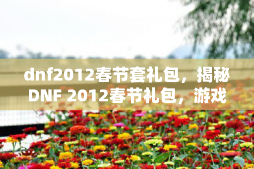 dnf2012春节套礼包,揭秘DNF 2012春节礼包,游戏内外的惊喜与期待 dnf2012春节套礼包,揭秘DNF 2012春节礼包,游戏内外的惊喜与期待