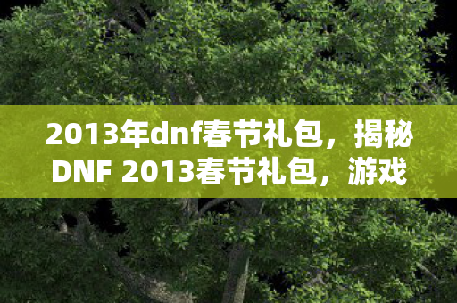 2013年dnf春节礼包,揭秘DNF 2013春节礼包,游戏内外的惊喜福利! 2013年dnf春节礼包,揭秘DNF 2013春节礼包,游戏内外的惊喜福利!