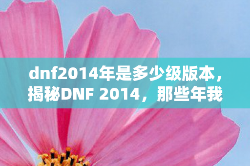 dnf2014年是多少级版本,揭秘DNF 2014,那些年我们共同经历的冒险与激情 dnf2014年是多少级版本,揭秘DNF 2014,那些年我们共同经历的冒险与激情
