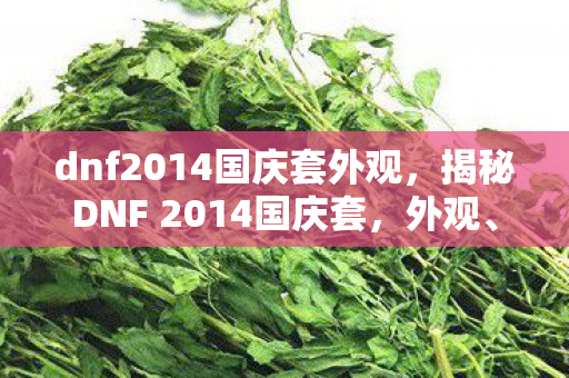 dnf2014国庆套外观,揭秘DNF 2014国庆套,外观、属性及获取方式一网打尽 dnf2014国庆套外观,揭秘DNF 2014国庆套,外观、属性及获取方式一网打尽