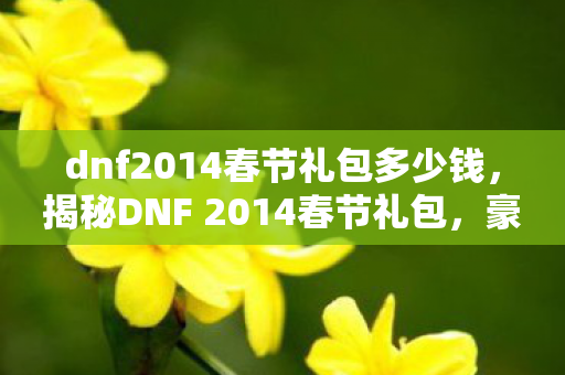 dnf2014春节礼包多少钱,揭秘DNF 2014春节礼包,豪华内容,不容错过! dnf2014春节礼包多少钱,揭秘DNF 2014春节礼包,豪华内容,不容错过!