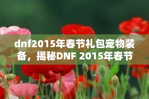 dnf2015年春节礼包宠物装备，揭秘DNF 2015年春节礼包，豪华内容与超值惊喜！