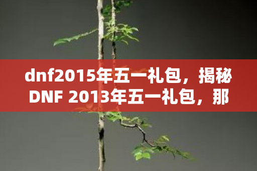 dnf2015年五一礼包,揭秘DNF 2013年五一礼包,那些年我们追逐的梦幻道具与情怀记忆 dnf2015年五一礼包,揭秘DNF 2013年五一礼包,那些年我们追逐的梦幻道具与情怀记忆