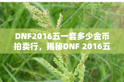 DNF2016五一套多少金币拍卖行,揭秘DNF 2016五一套,全新外观与独特属性引领游戏新风尚 DNF2016五一套多少金币拍卖行,揭秘DNF 2016五一套,全新外观与独特属性引领游戏新风尚