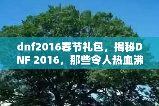 dnf2016春节礼包,揭秘DNF 2016,那些令人热血沸腾的辉煌时刻与全新变革! dnf2016春节礼包,揭秘DNF 2016,那些令人热血沸腾的辉煌时刻与全新变革!