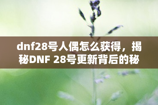 dnf28号人偶怎么获得,揭秘DNF 28号更新背后的秘密与亮点 dnf28号人偶怎么获得,揭秘DNF 28号更新背后的秘密与亮点
