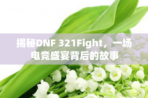 揭秘DNF 321Fight,一场电竞盛宴背后的故事 揭秘DNF 321Fight,一场电竞盛宴背后的故事