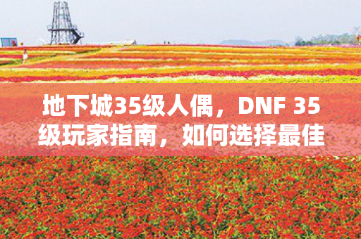 地下城35级人偶,DNF 35级玩家指南,如何选择最佳人偶助你冒险! 地下城35级人偶,DNF 35级玩家指南,如何选择最佳人偶助你冒险!