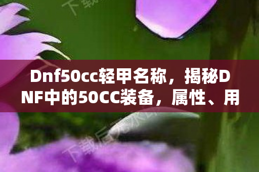 Dnf50cc轻甲名称,揭秘DNF中的50CC装备,属性、用途与获取方式 Dnf50cc轻甲名称,揭秘DNF中的50CC装备,属性、用途与获取方式